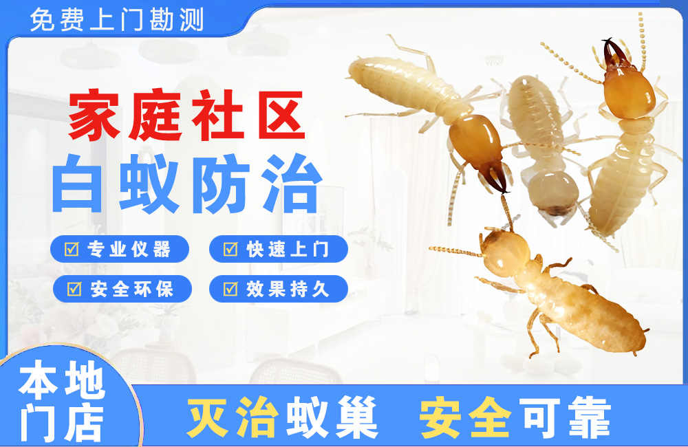 汕头家庭社区白蚁防治