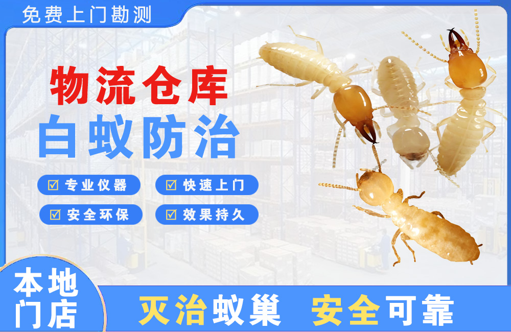 汕头物流仓库白蚁防治