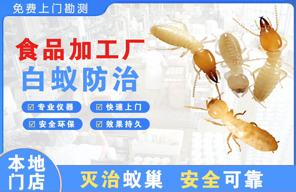 汕头食品加工厂白蚁防治