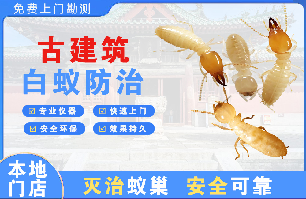 汕头古建筑白蚁防治