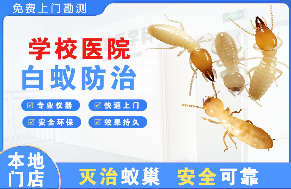 汕头学校医院白蚁防治