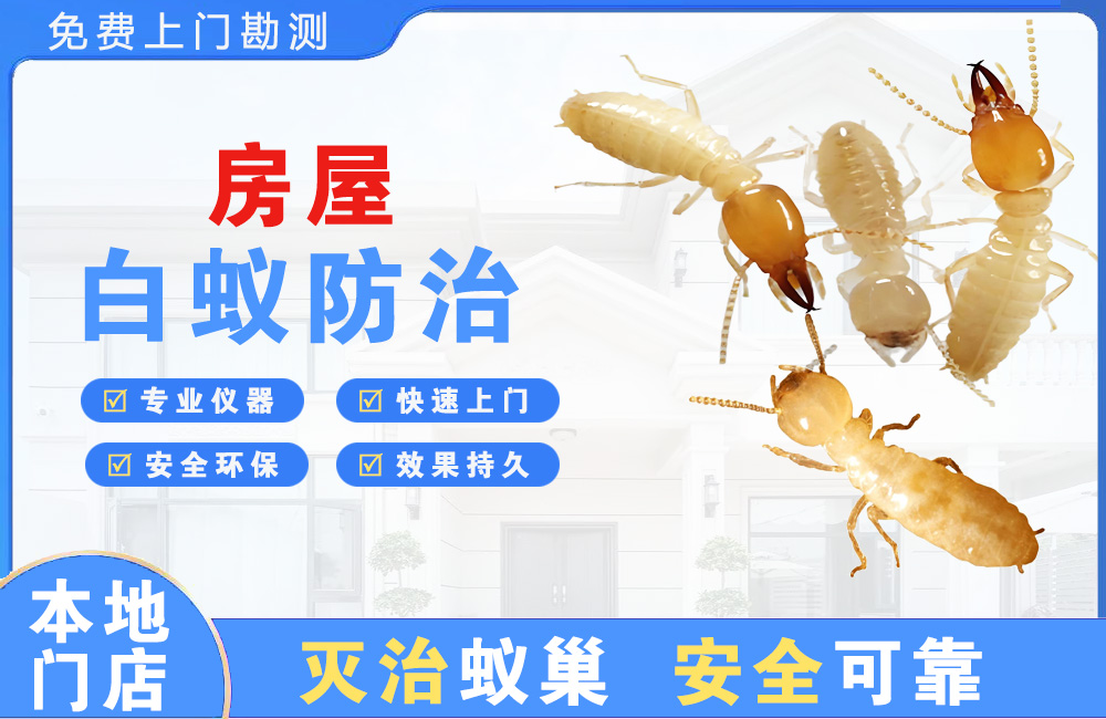 汕头房屋白蚁防治