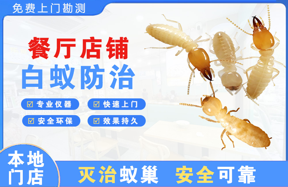 汕头餐厅店铺白蚁防治